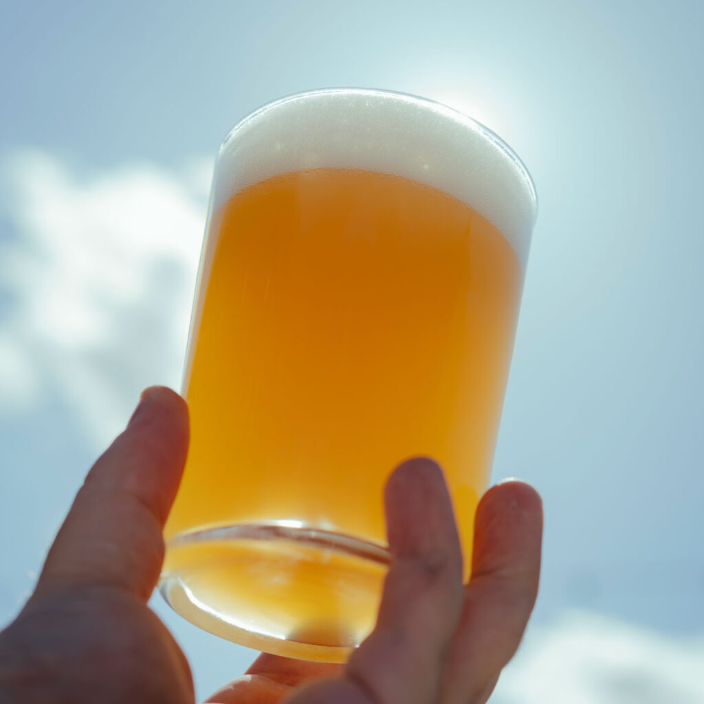 Reffen Brewery - New Zealand Session IPA